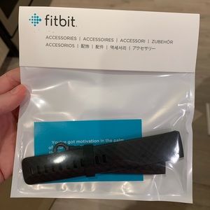 Fitbit Charge 4 Band Only (large)